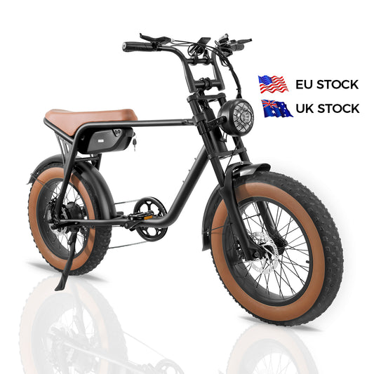 Electric Fat Tire Bike (K3)