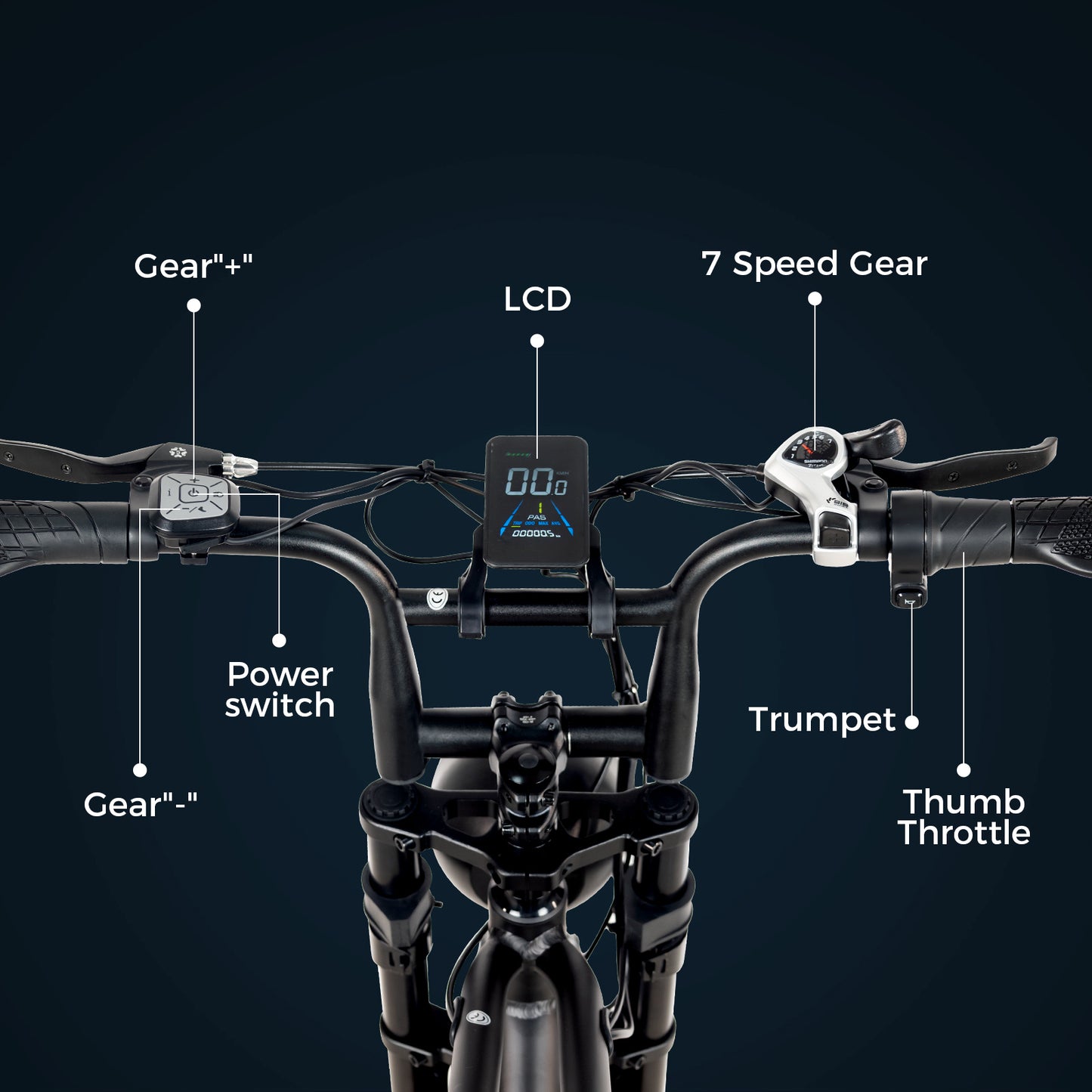 Electric Fat Tire Bike (K3)