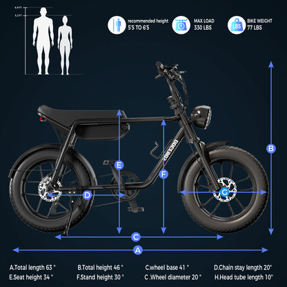 Adult Electric Bicycle(E3)