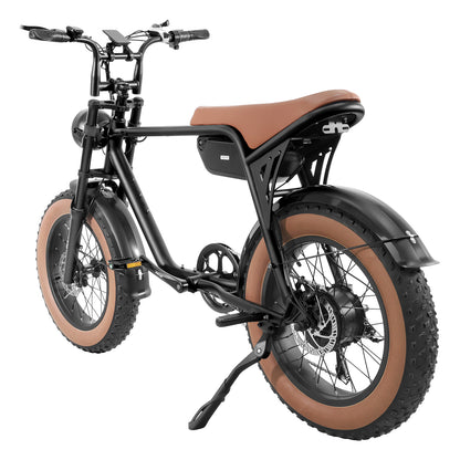 Electric Fat Tire Bike (K3)