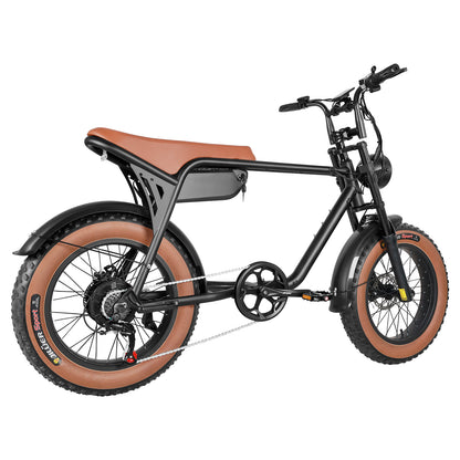 Electric Fat Tire Bike (K3)