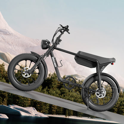 Adult Electric Bicycle(E3)