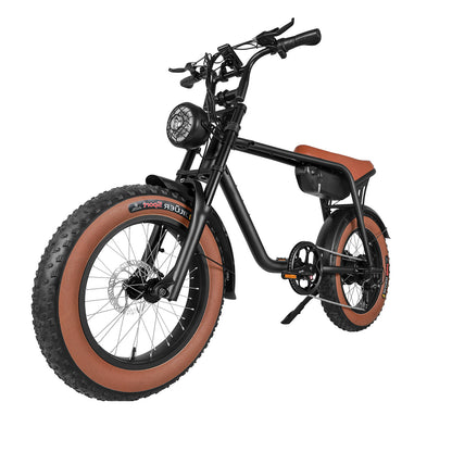 Electric Fat Tire Bike (K3)