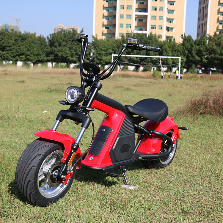 EEC COCElectric scooter 2000W fat Wheel Citycoco （M8）